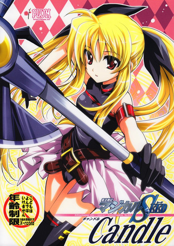 (とら祭り2010) [PLUM (かん奈)] 魔法少女マジカルSEED Candle (魔法少女リリカルなのは)