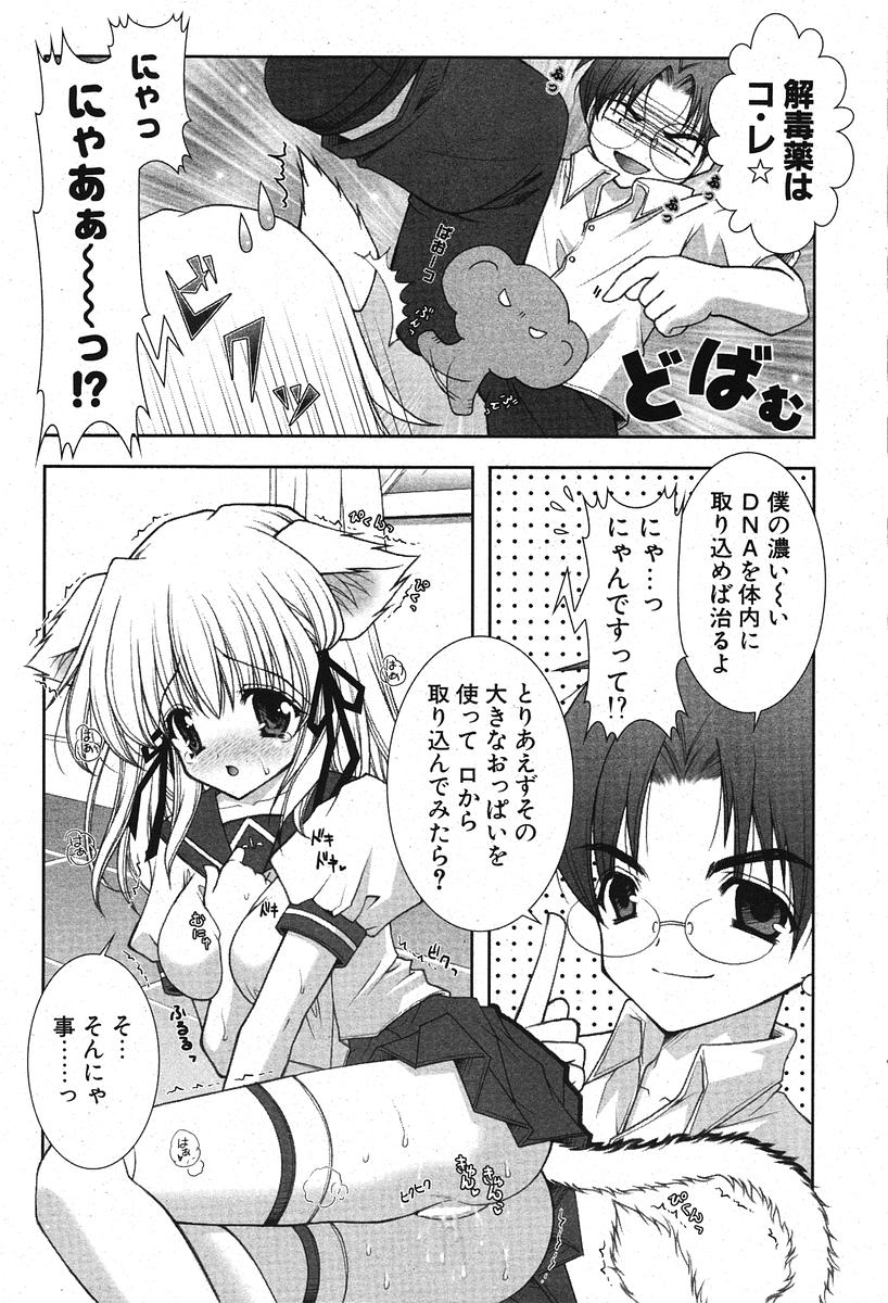 COMIC ポプリクラブ 2005年11月号