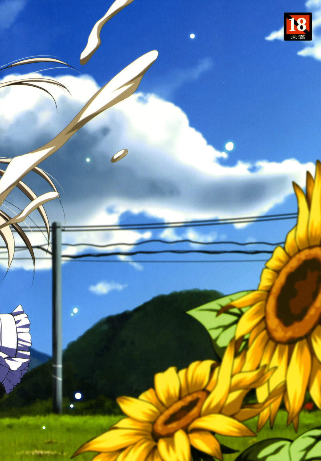 (ふたけっと6) [あいがも堂 (あやかわりく)] ふたなつ