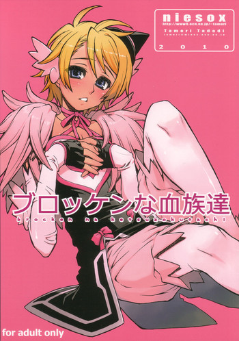 (COMIC1☆4) [niesox (たもりただぢ)] ブロッケンな血族達 (ブロッケンブラッド)