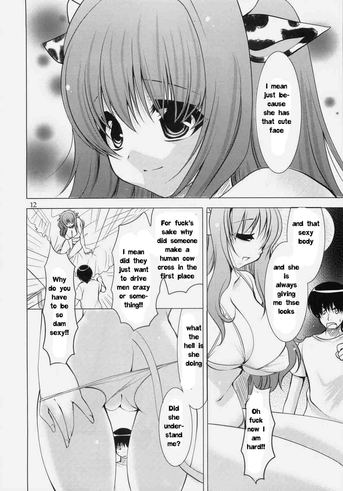 リデムカウガール[英語] [リライト] [EZリライター]
