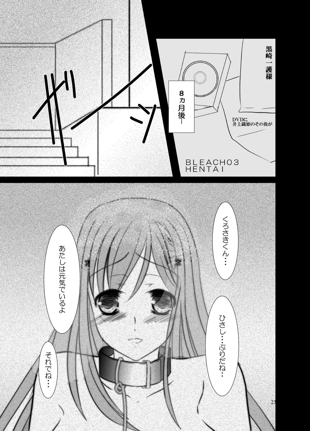 (C78) [御崎少女系。 (御崎ユウ)] 檻姫 (BLEACH)