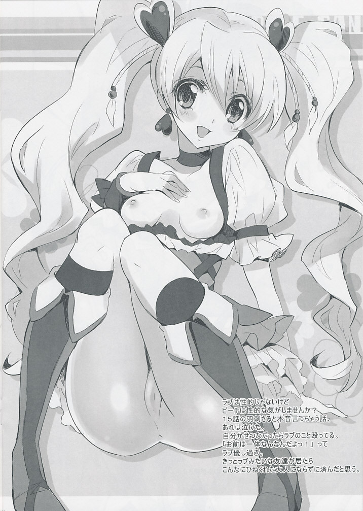 (C78) [福のれん (ユキヲ)] パイン缶 (フレッシュプリキュア!)