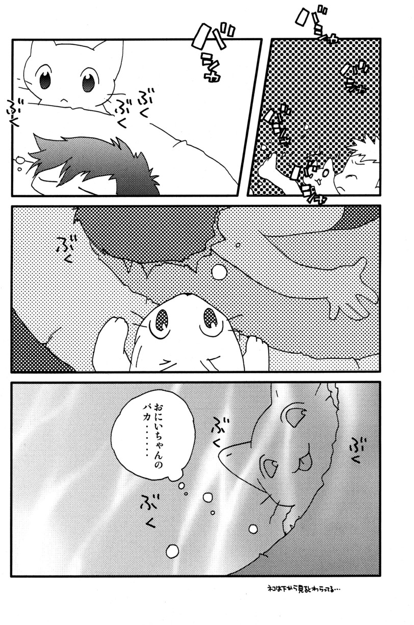 (C66) [5/4 (よろず)] 季刊ぼくのおにいちゃん夏号