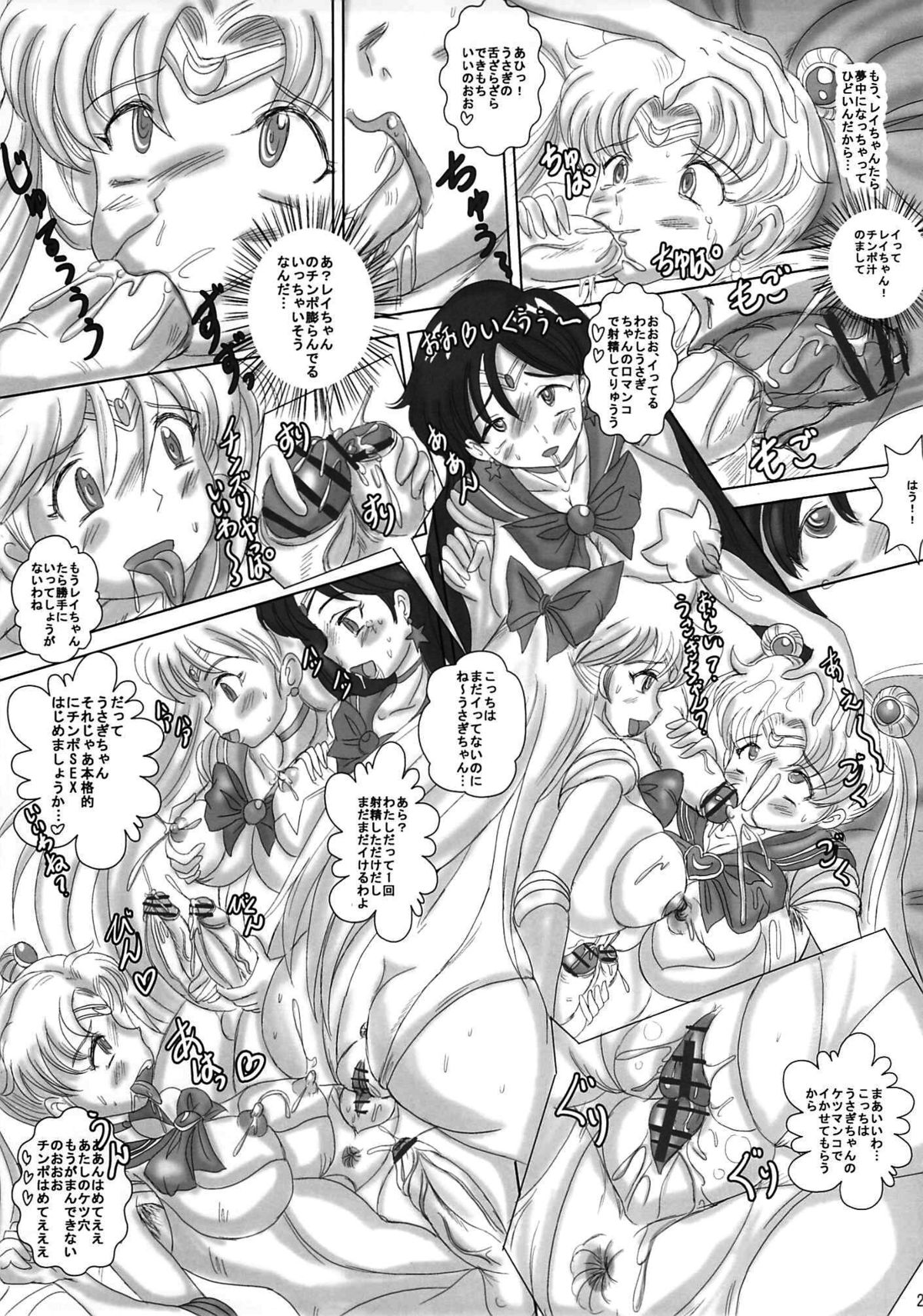 (COMIC1☆4) [生猫亭 (chan shin han)] MOON DELUSION R (美少女戦士セーラームーン)