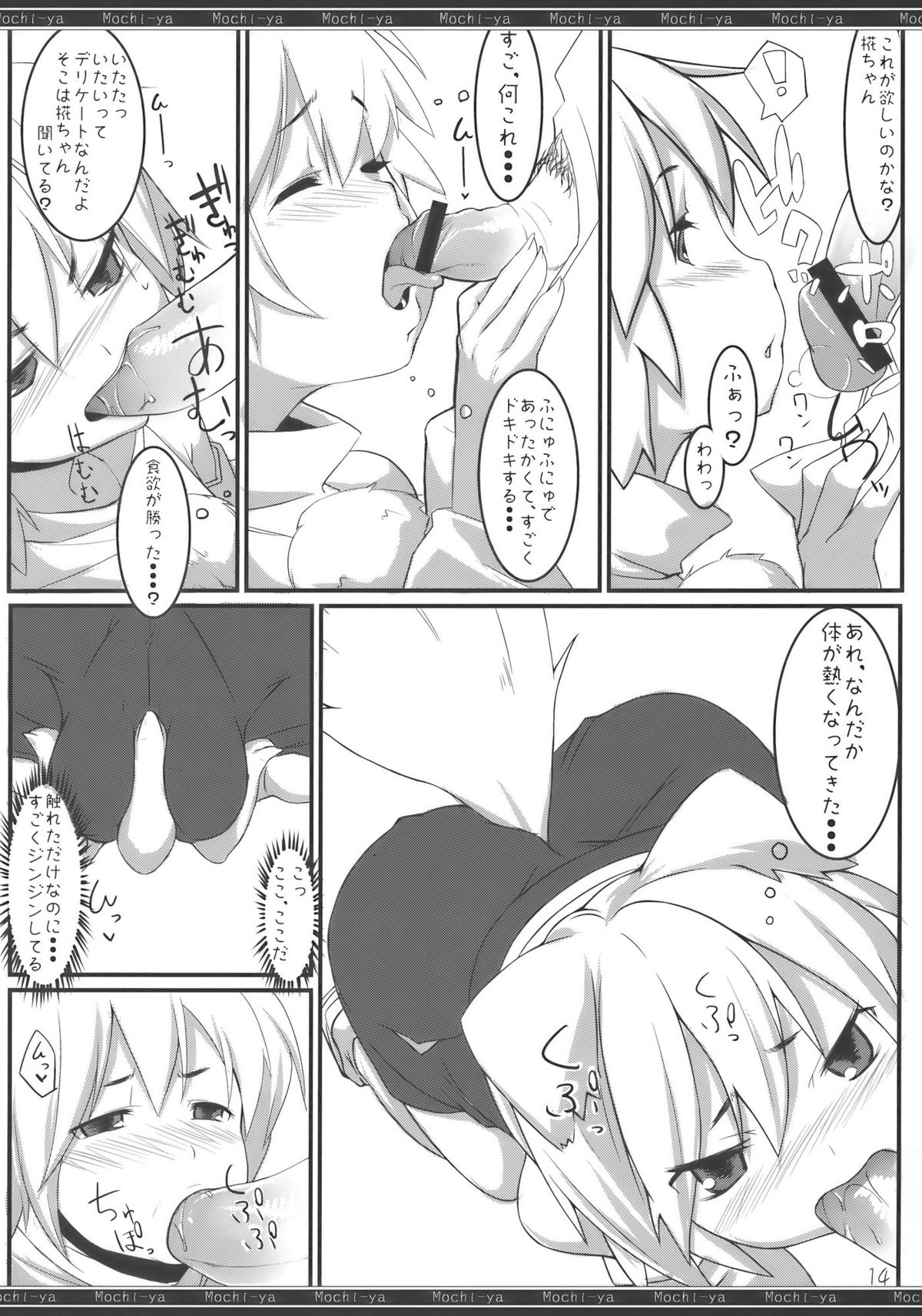 (例大祭7) [餅屋 (かろちー)] 椛狩り (東方Project)