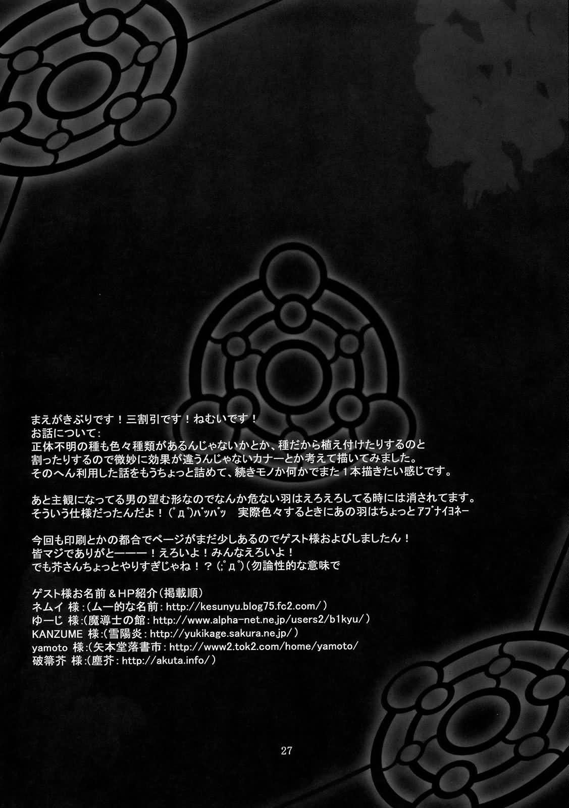 (C77) [MegaSoundOrchestra (三割引)] 鵺ノ舞ウ夜 (東方Project) [英訳]