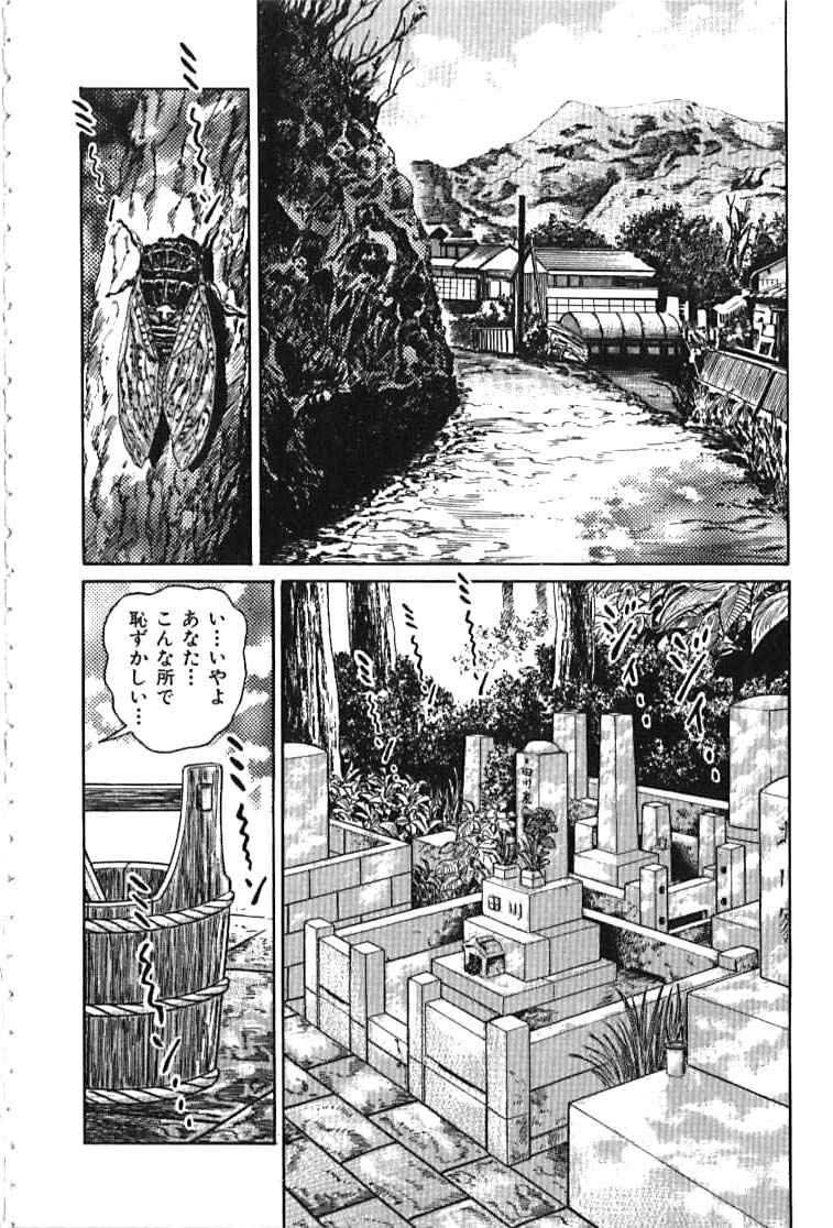 [青山一海] 快楽ミセスの浮気な肉体