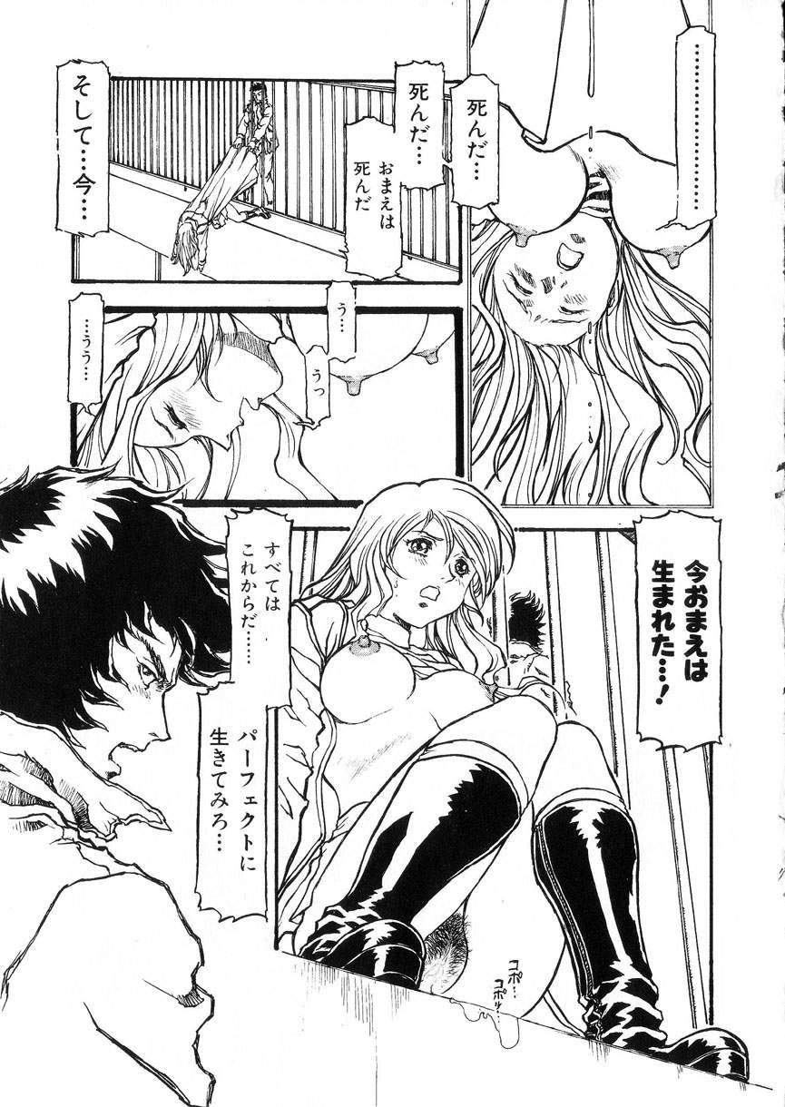 [電光石火轟]-PERFECT