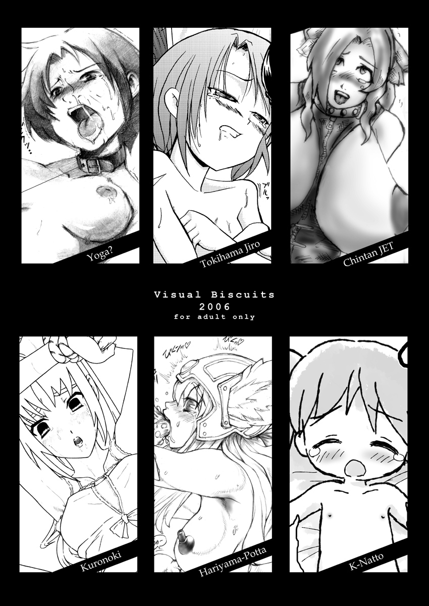 (だんめんずこみっく2) [Visual Biscuits (時浜次郎、ヨガ?、珍単JET)] 子宮戦線異状なし