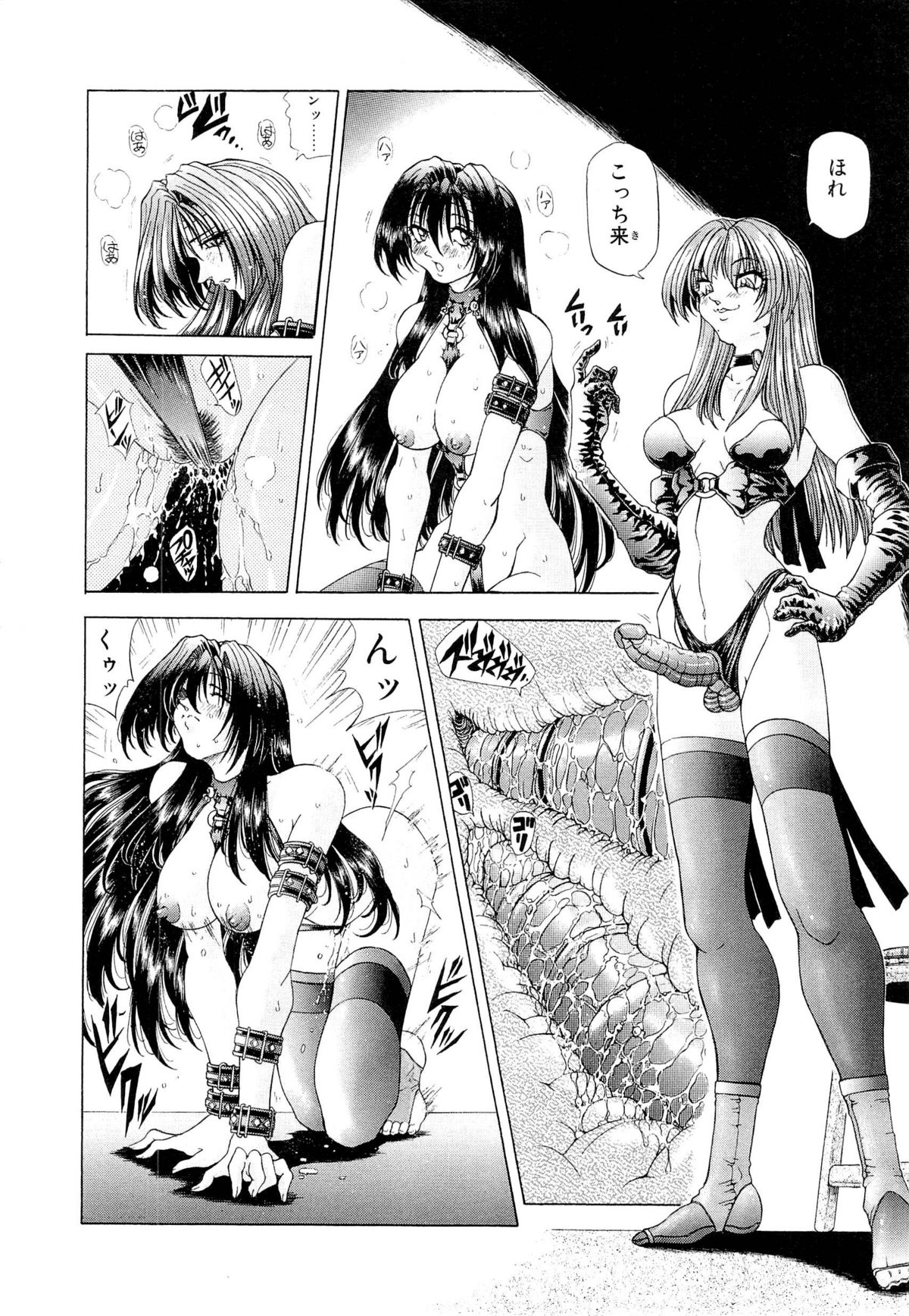 [粗雑那絵] 夢幻回想ファントムリコレクション