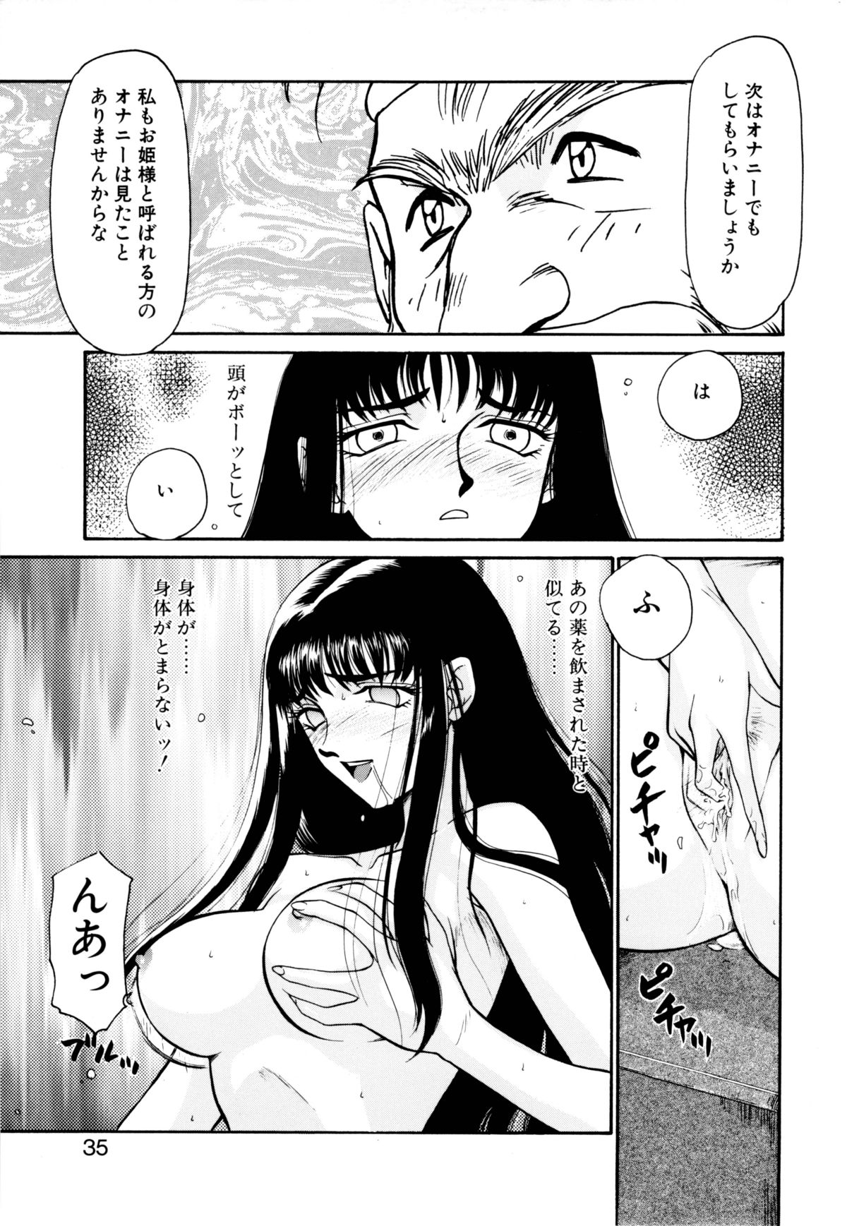 [たいらはじめ] 姫将軍シェラハ