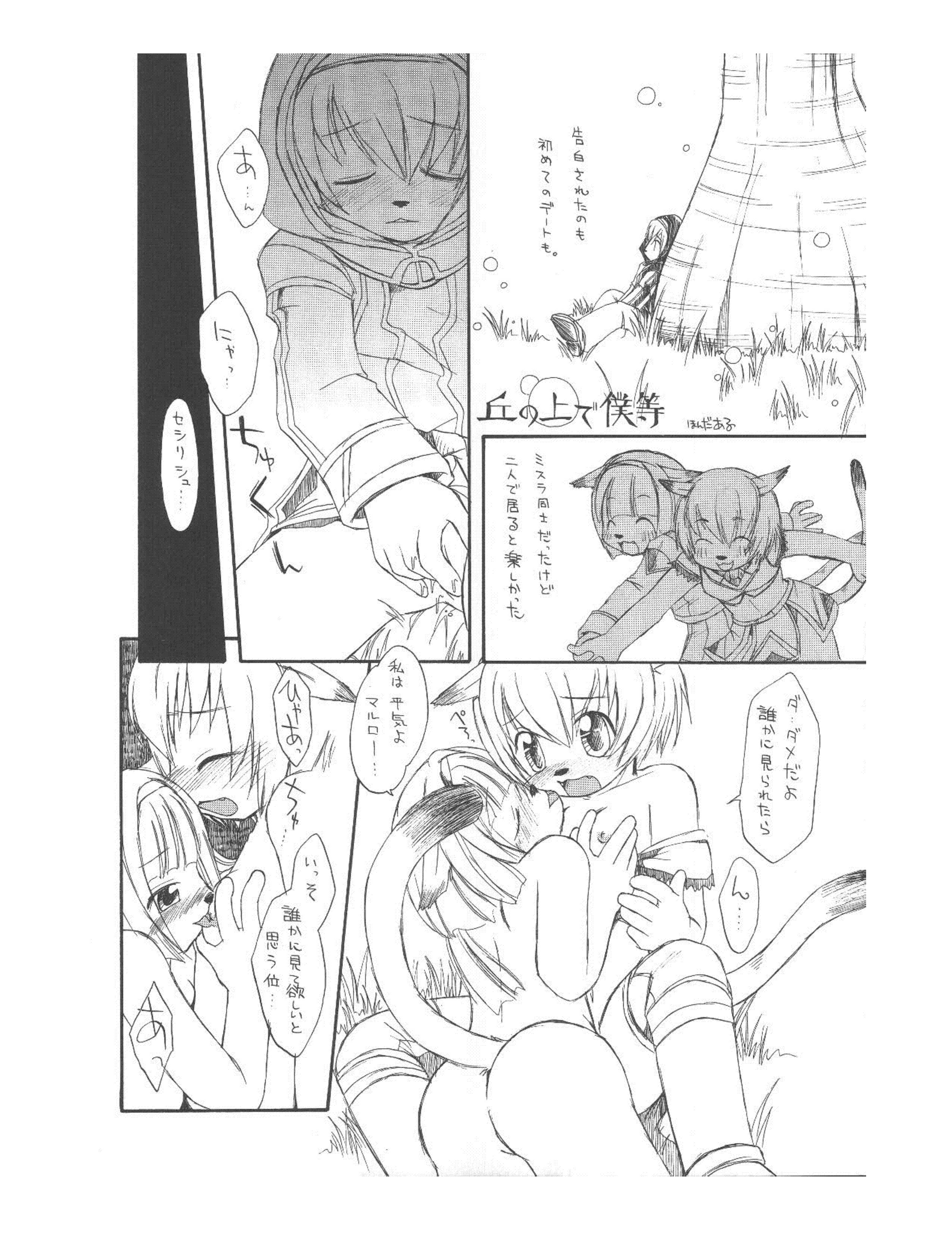 (サンクリ22) [RED TAIL CAT (ほんだある, あざみ野圭二)] /random (ファイナルファンタジーXI)