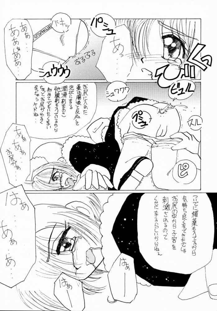 [RUBY FRUIT (琴月絶人)] お兄ちゃんといっしょ。 (カードキャプターさくら)