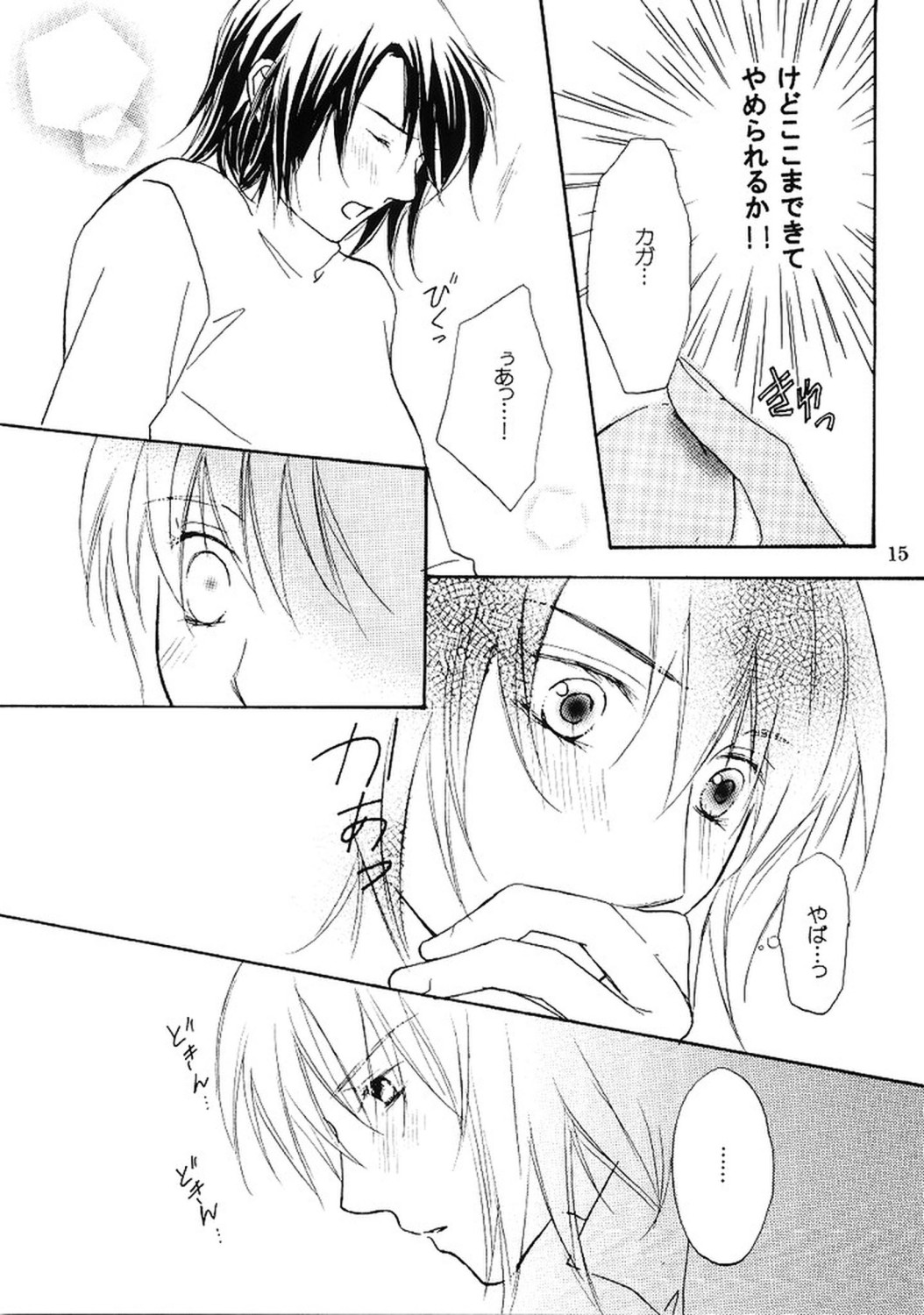 [Berry & Precious] Beautiful Beast (機動戦士ガンダムSEED DESTINY)