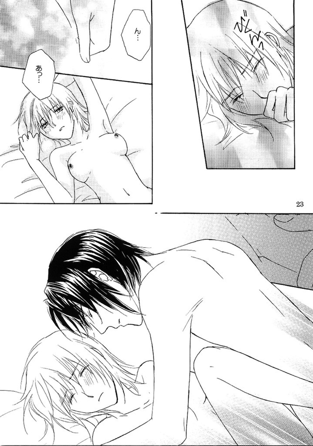 [Berry & Precious] Beautiful Beast (機動戦士ガンダムSEED DESTINY)