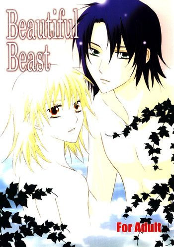 [Berry & Precious] Beautiful Beast (機動戦士ガンダムSEED DESTINY)
