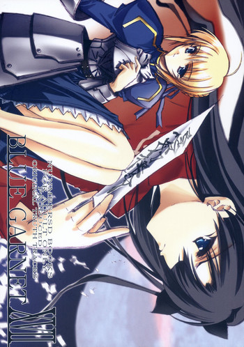(C66) [BLUE GARNET (芹沢克己)] BLUE GARNET XVII (Fate/stay night)