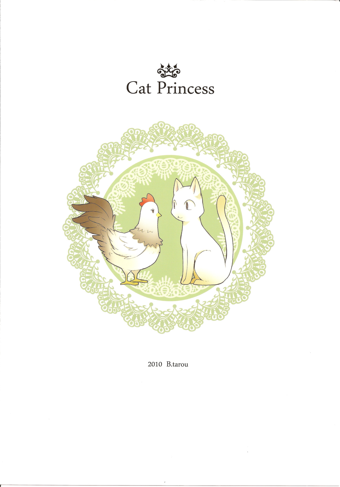 (COMIC1☆4) [ばくはつBRS. (B.たろう)] Cat Princess (FF外伝 光の4戦士)