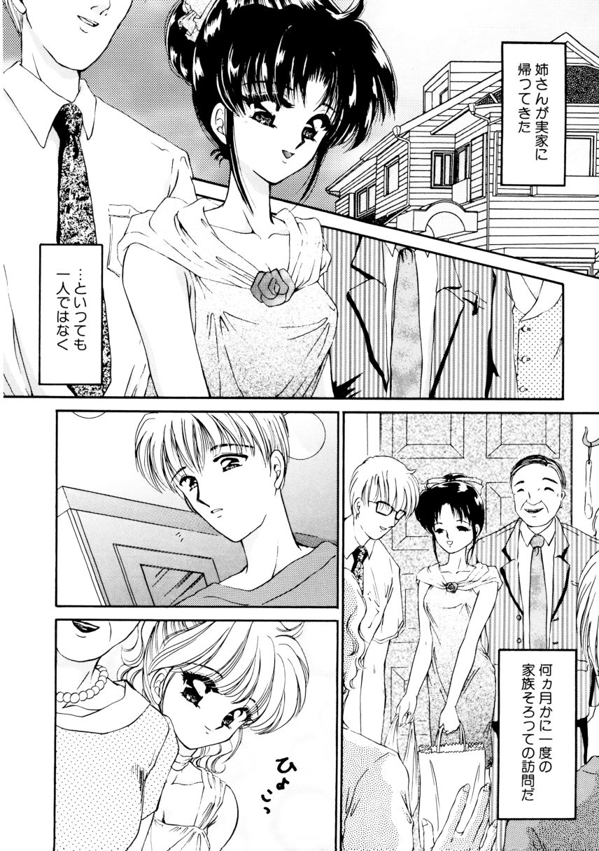 [浦乃まみ] 姉