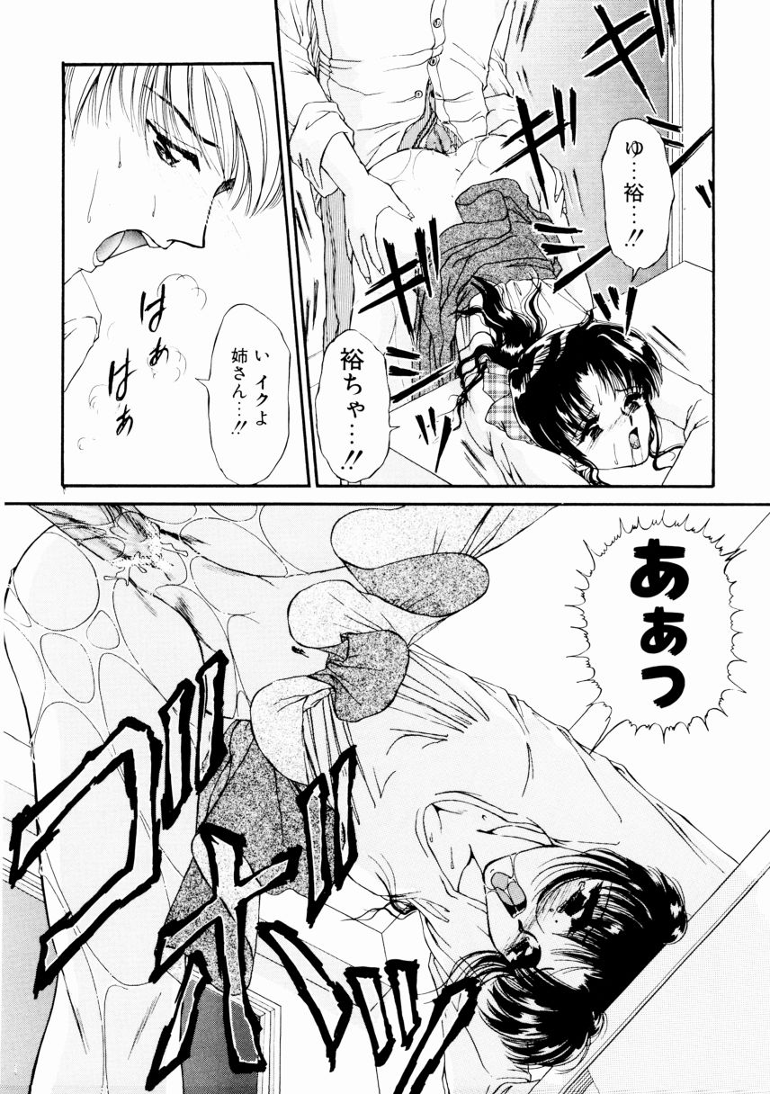 [浦乃まみ] 姉