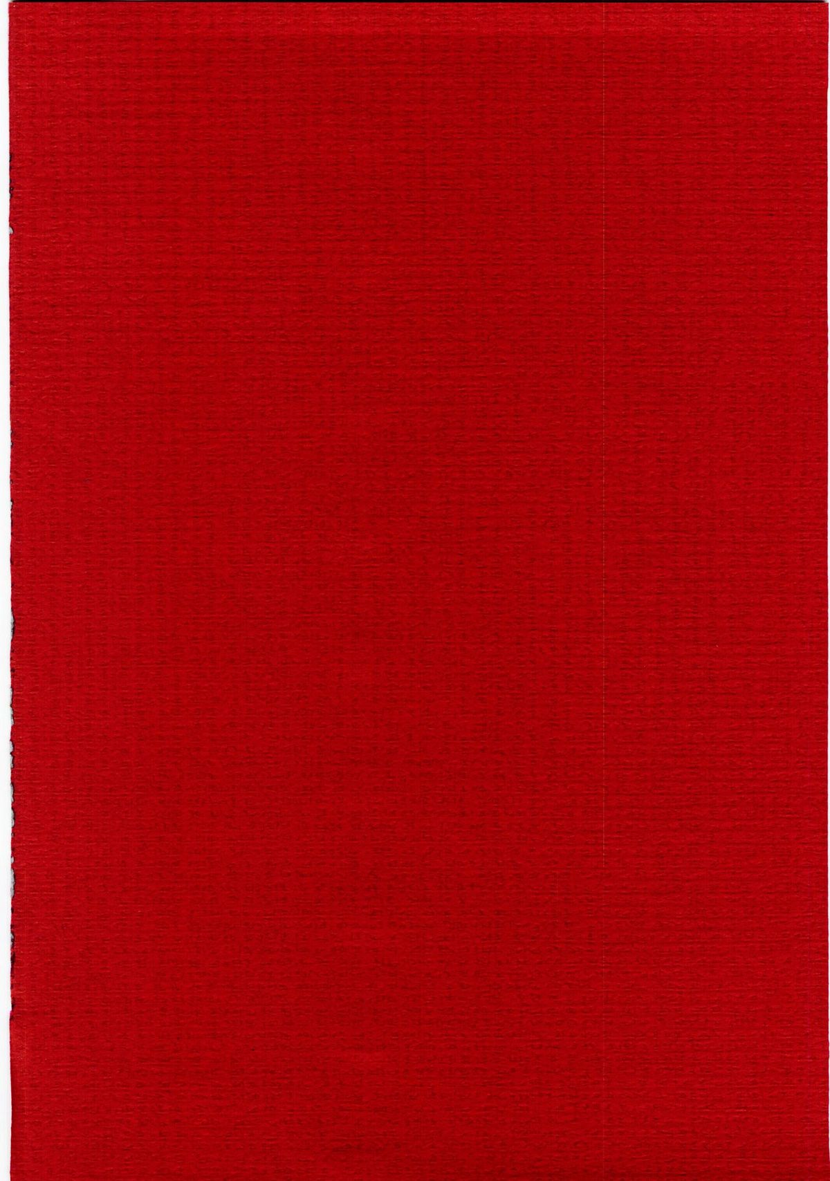 (C67) [脳髄魔術 (エル・ピエール, 兼処敬士, 瓦敬助)] Naked Princess