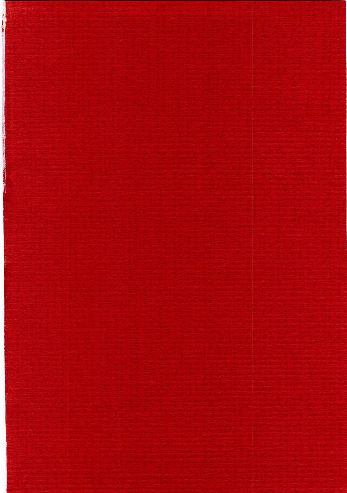 (C67) [脳髄魔術 (エル・ピエール, 兼処敬士, 瓦敬助)] Naked Princess