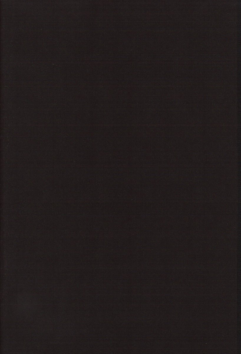 (C62) [AREYOUHAPPY?、APOCRIPHA (あさいいちこ、檜山あきら)] ニヌクナー (ラグナロクオンライン)