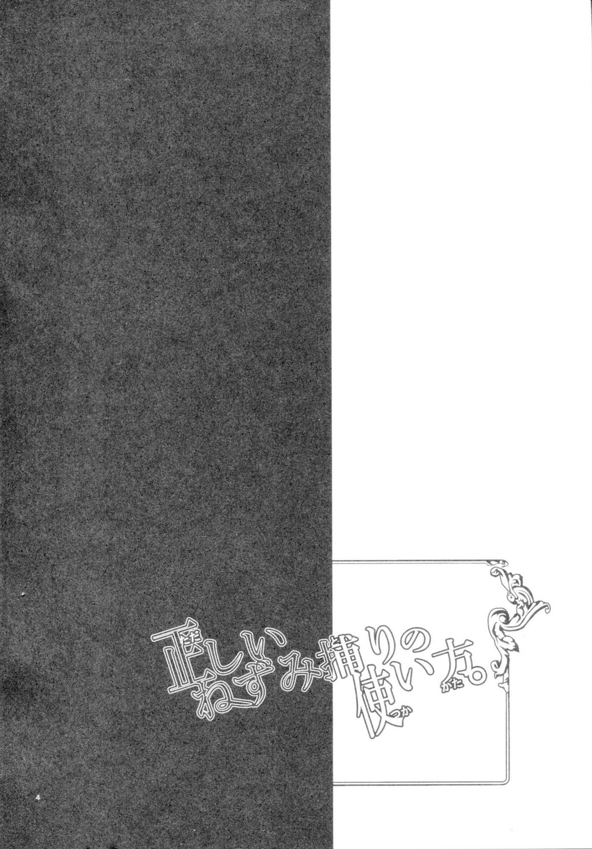 (C77) [ウミナリ (ナルみ)] 正しいねずみ捕りの使い方。 (東方Project)