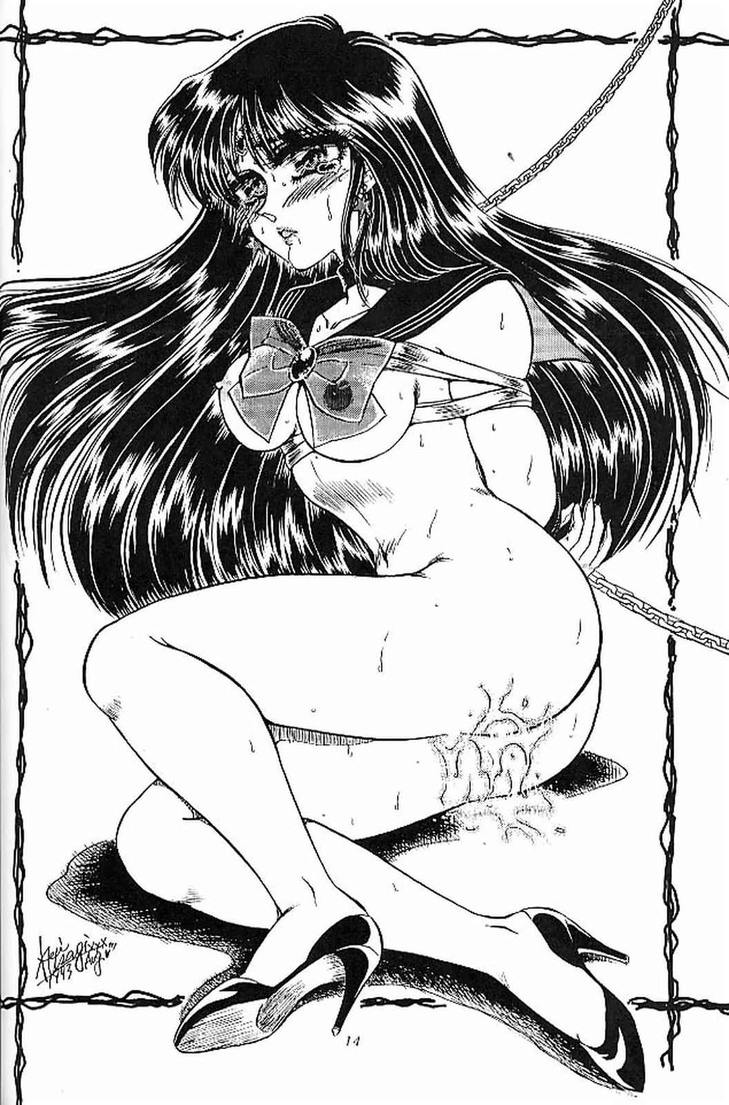 (C44) [コアラ企画 (よろず)] セーラームーン改造計画 (美少女戦士セーラームーン)