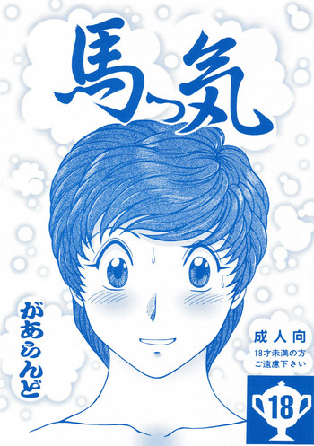 (C66) [リハビリテーション (ガーランド)] 馬っ気 (じゃじゃ馬グルーミン★UP!)