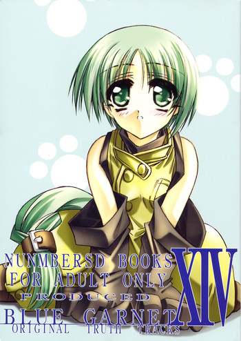 (C62) [BLUE GARNET (芹沢克己)] BLUE GARNET XIV SKY (スカイガンナー)