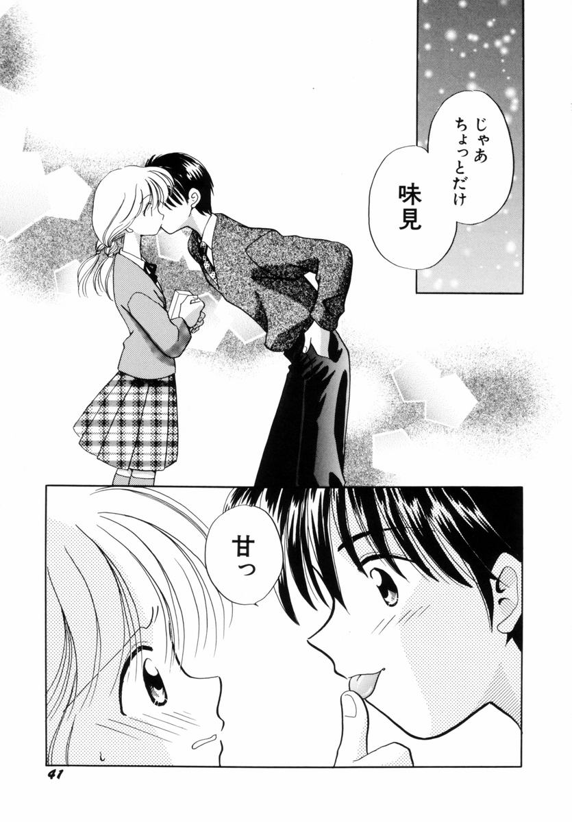 [流星ひかる] いつか、王子さまが。