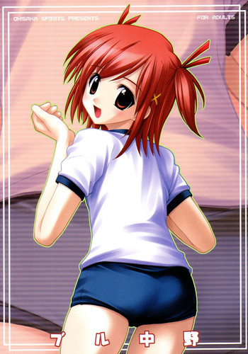 (C65) [大坂魂 (愛山寿一、うげっぱ)] ブル中野 (魔法先生ネギま！)