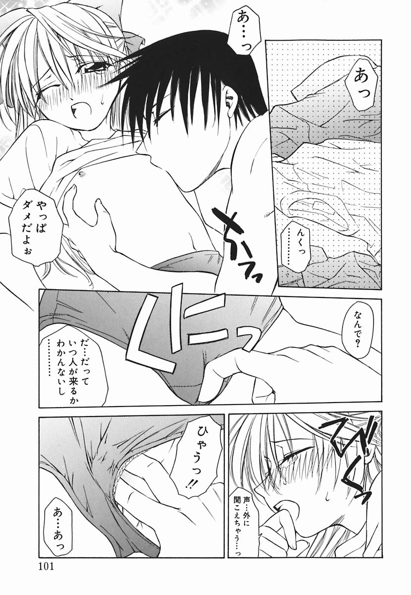 [士崎雅雪] 葉月くんの恋人