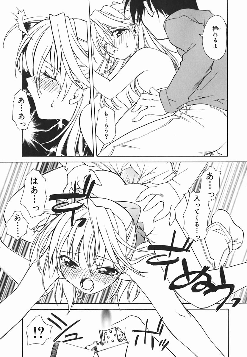 [士崎雅雪] 葉月くんの恋人