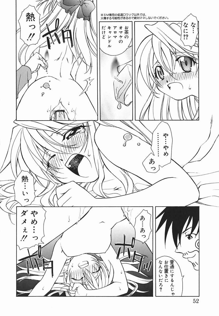 [士崎雅雪] 葉月くんの恋人