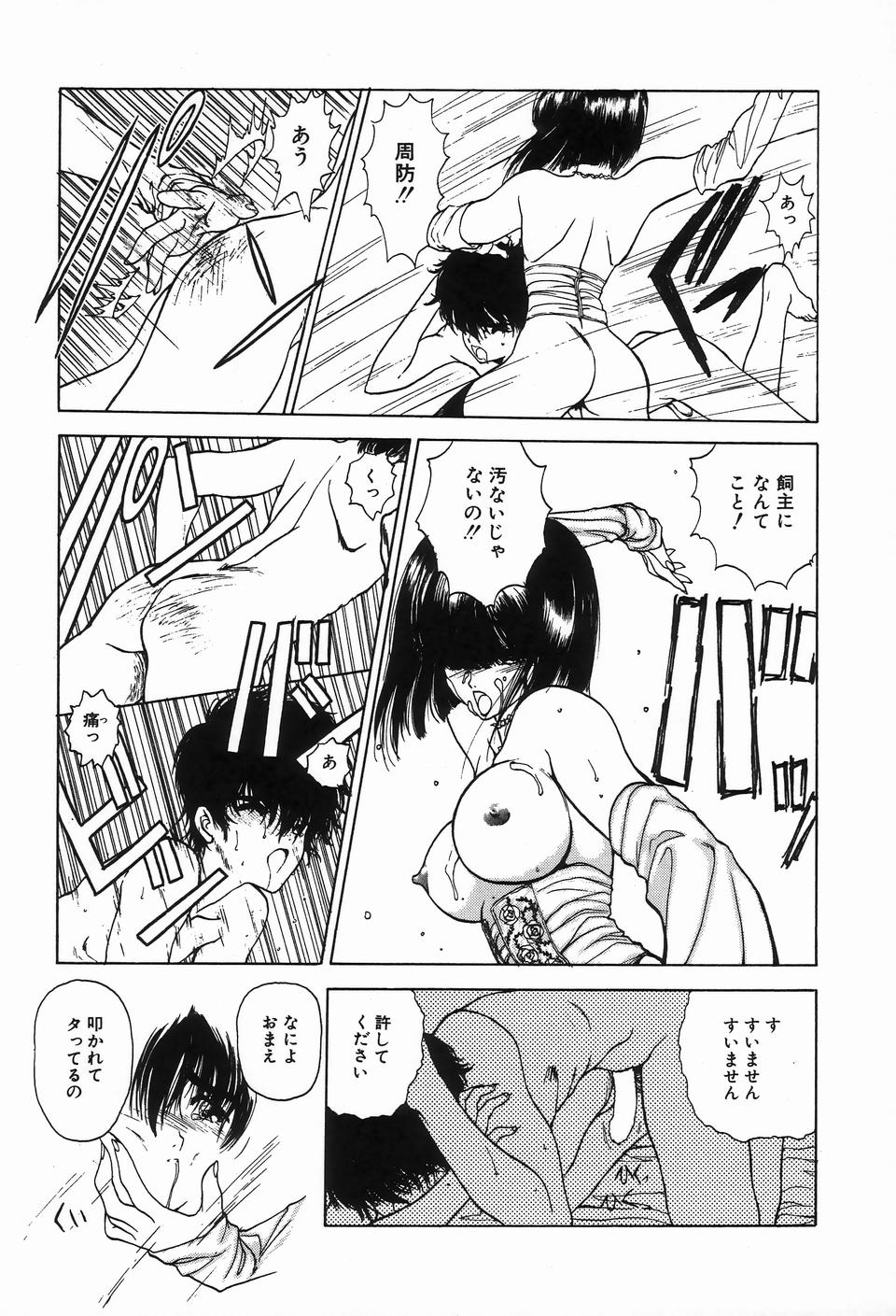 [アンソロジー] ビザールコレクション 2
