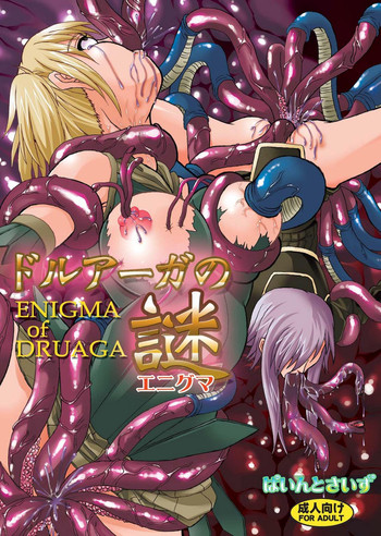 (COMIC1☆2) [ぱいんとさいず (TKS、天籟)] ドルアーガの謎 (ドルアーガの塔)