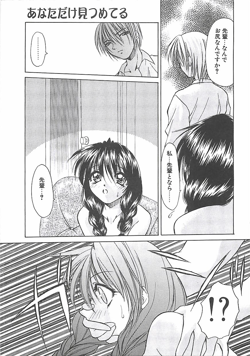 [士崎雅雪] アビシニアン