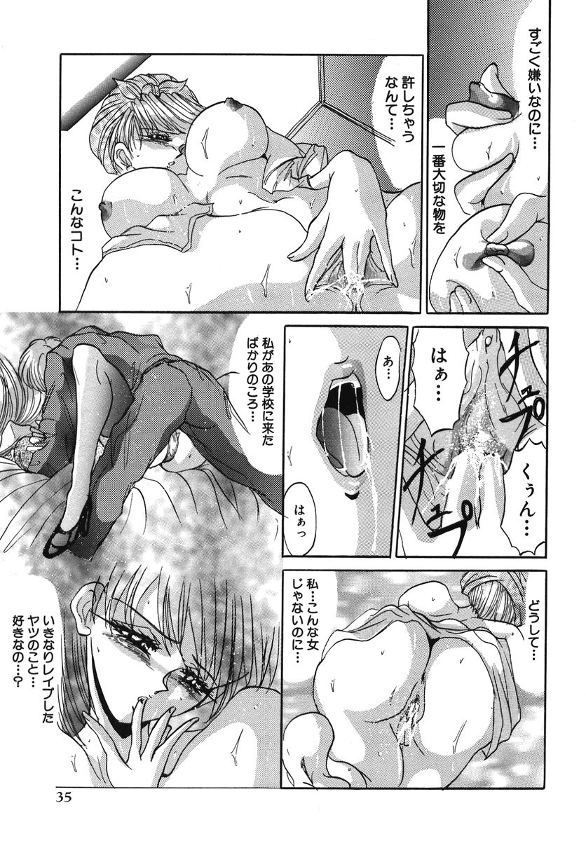 [GRIFON] なぶられた純潔