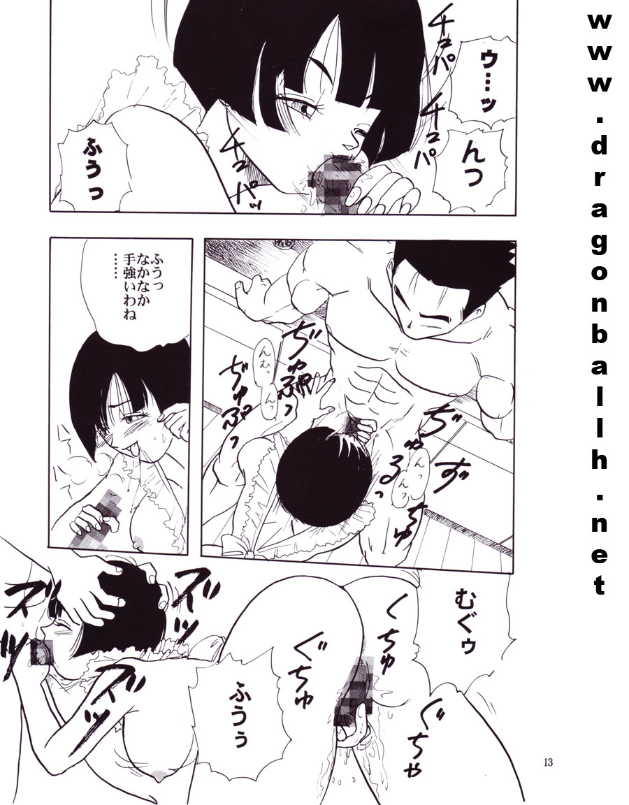 【翔二ハリコ】ZZ（ドラゴンボールZ）