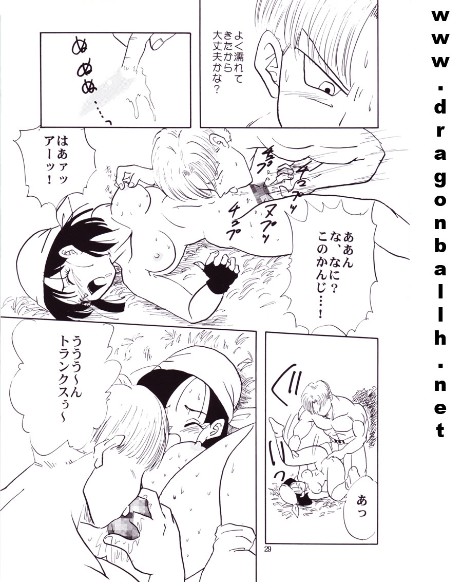【翔二ハリコ】ZZ（ドラゴンボールZ）