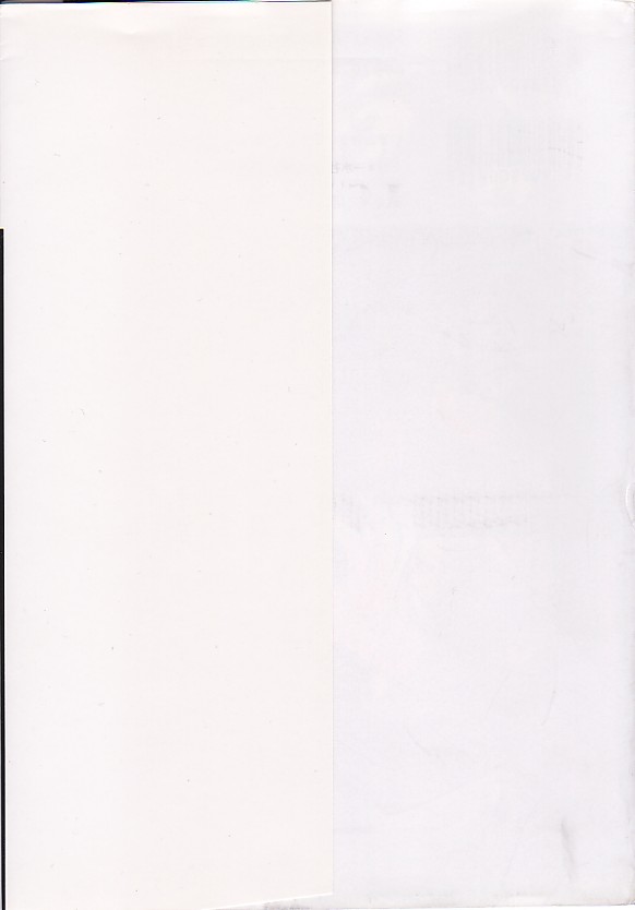 [プロトンザウルス] ちゅっ