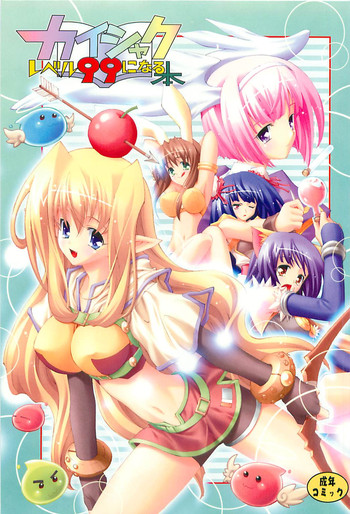 [介錯] カイシャク レベル99になる本 (ラグナロクオンライン)