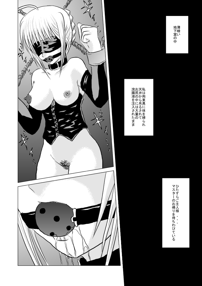 (こみトレ13) [紅い瞳と蒼い月 (うらんふ)] セイバー、塗糞調教 (Fate/Stay Night)
