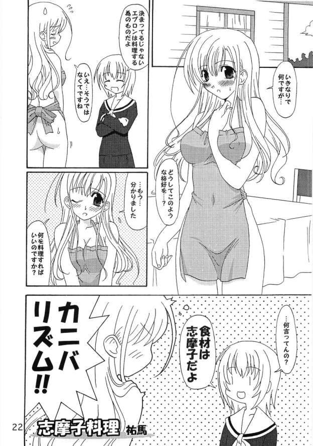 (C68) [飛行第50戦隊] しろばらえろほん (マリア様がみてる)