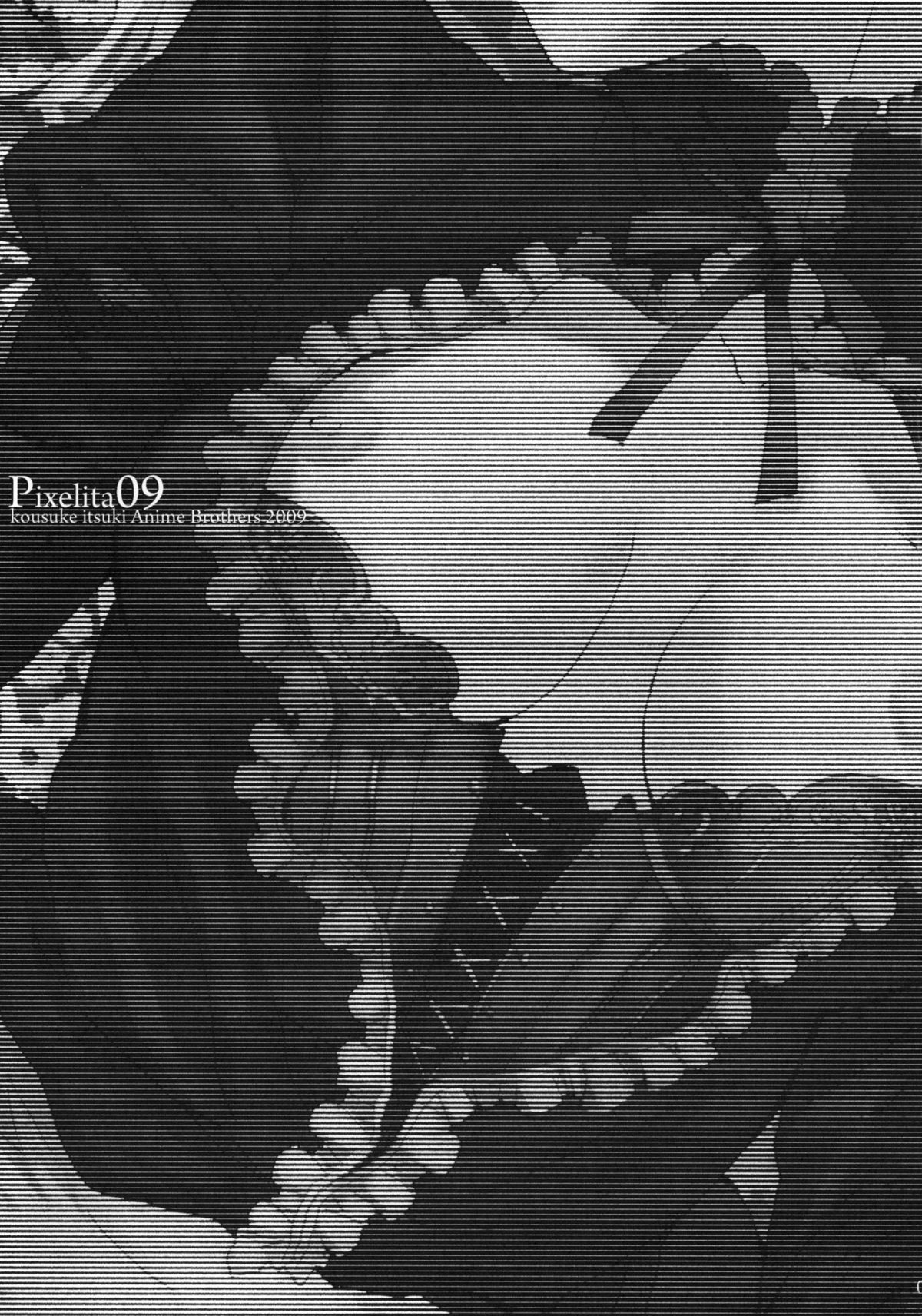 (C77) [アニメブラザーズ (いつきこうすけ)] PixelitA 09
