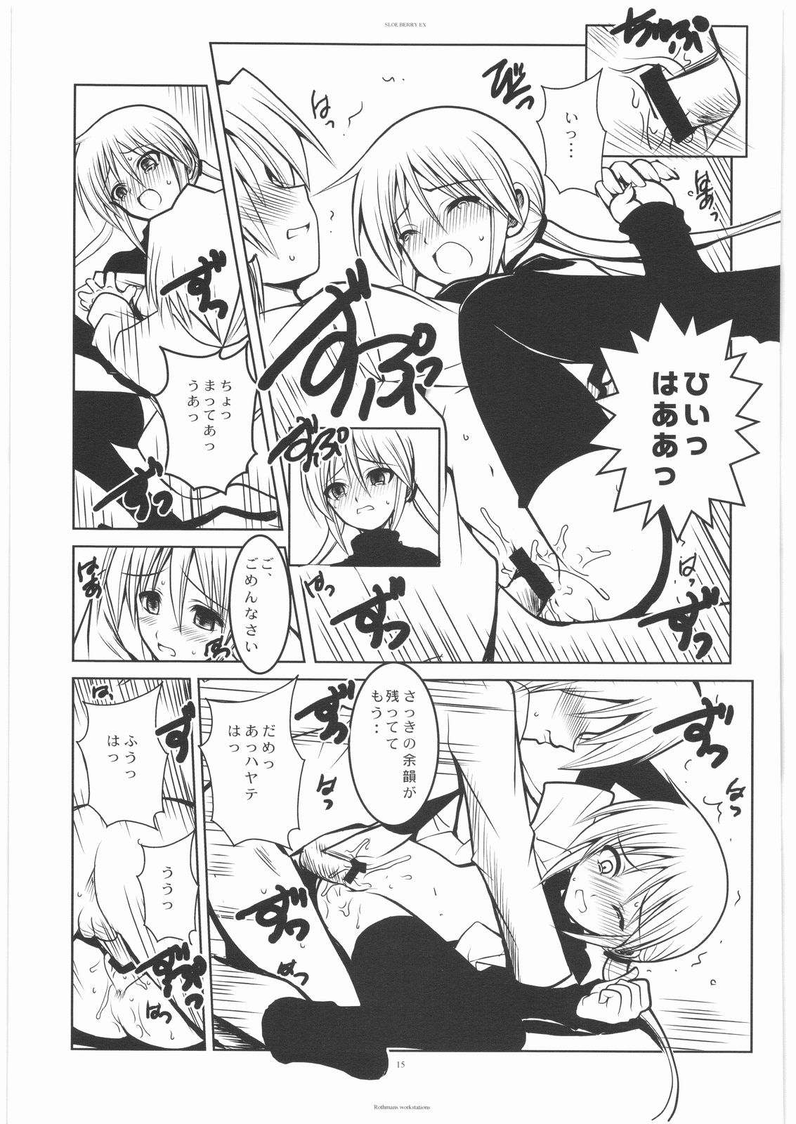 [R-WORKS] SLOE BERRY II ( ハヤテのごとく！)