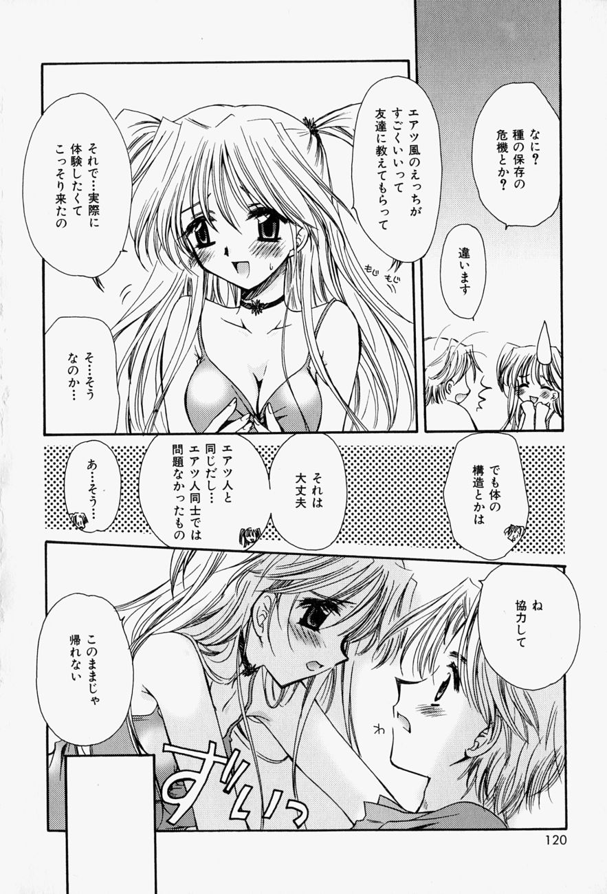 [天櫻みとの] ひがわりランチ